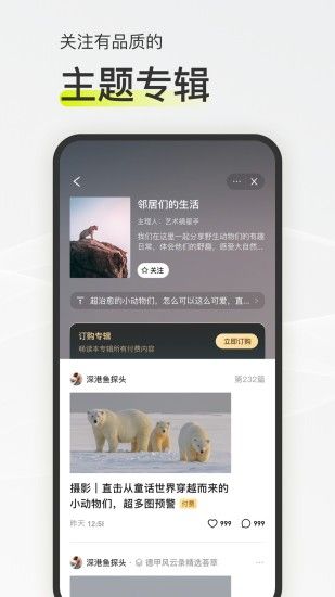 迷岛社交app手机版图片1