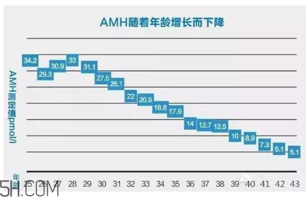 AMH检查是什么？快速检测卵巢是否适合怀孕