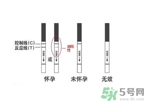 怎么测是否怀孕？早孕试纸怎么用？