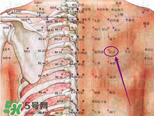 膏肓的准确位置图 膏肓穴痛跟什么有关