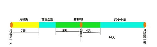 女性排卵期怎么计算最准确