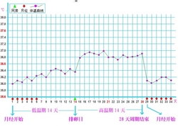 女性排卵期怎么计算最准确