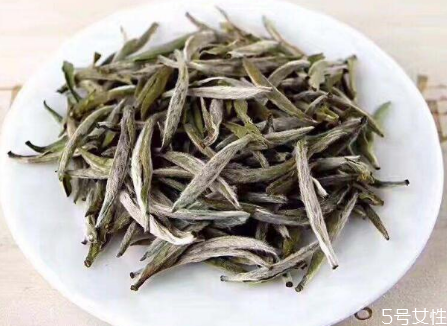 福鼎白茶属于什么茶类 福鼎白茶怎么泡好喝