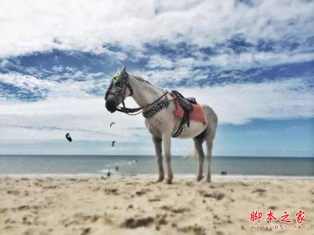 学会这几招，就能用手机拍出好照片！