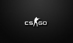 csgo国际服启动项代码是什么？