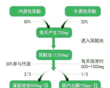 尿酸高可以吃瓜子吗,有没有影响的