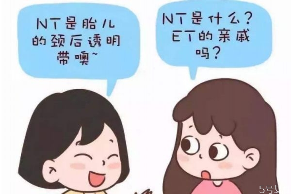 nt检查可以什么时候做 nt检查什么时候做最准确