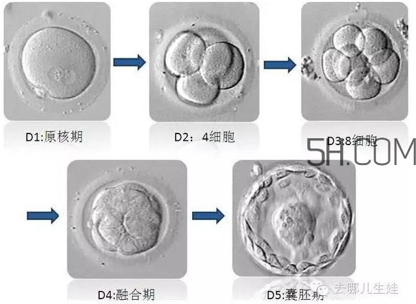 试管婴儿有什么风险？试管婴儿长大后的弊端