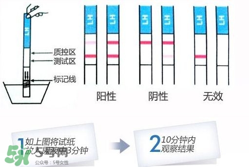 早孕试纸什么时候测最准？早孕试纸什么时候可以测出来