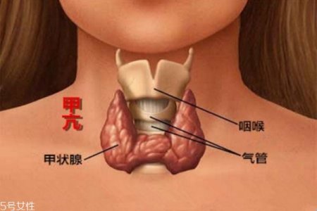 治疗​甲亢的中医具体实施方法