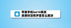 ios14录屏时没有声音怎么办? 苹果手机录屏录声音的技巧