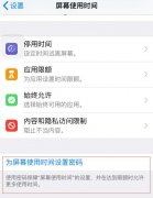 iPhone手机利用屏幕使用时间功能给应用加密设置方法