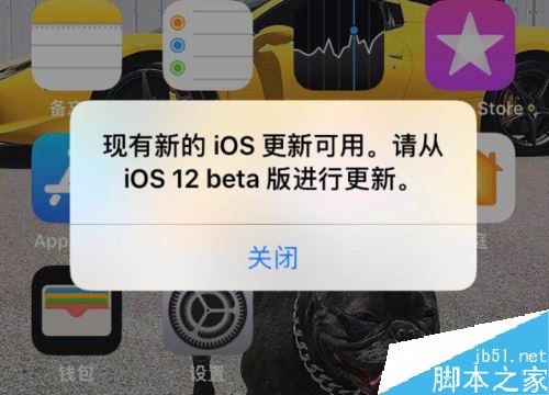 iPhone提示：现有新的iOS更新可用，请从iOS 12beta版进行更新