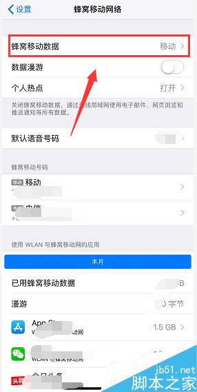 iPhone xs max怎么打开数据流量？iPhone xs max开启数据网络方法