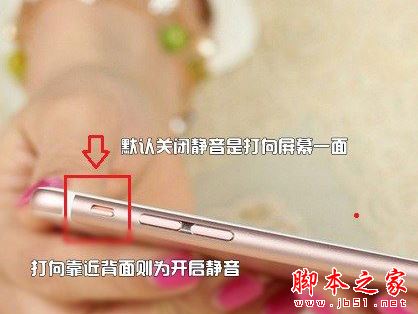 iPhoneX怎么关拍照声？苹果iPhoneX静音拍照图文教程