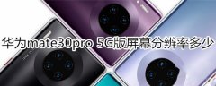 华为mate30pro 5G版屏幕分辨率是多少?