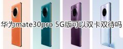 华为mate30pro 5G版支持不支持双卡双待?